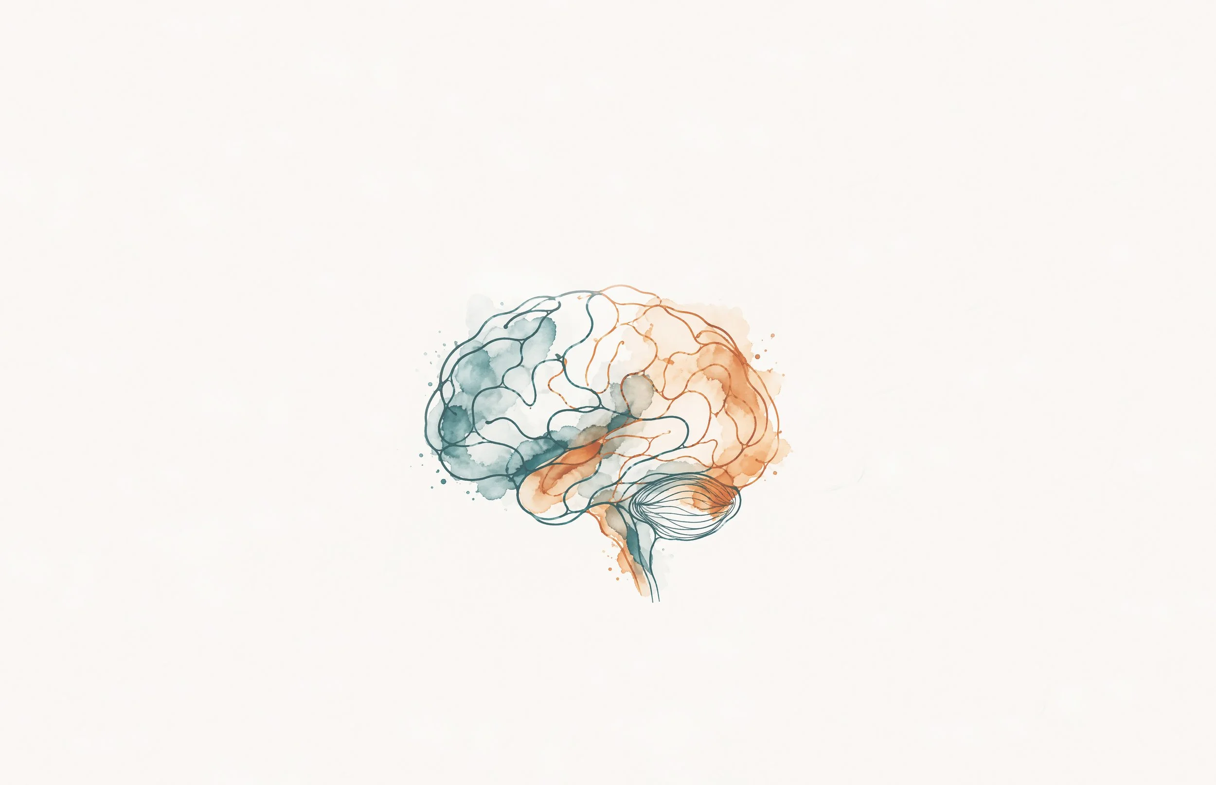 Watercolor illustration of a human brain in shades of blue, orange, and gray on a white background.
