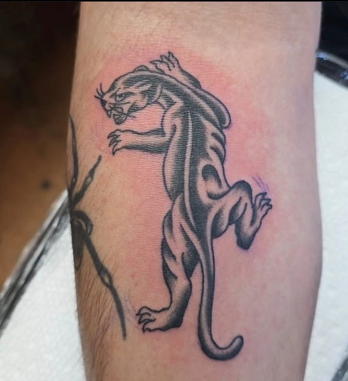 Micro panther walk-in done by @zakziggyzygowicz last Sunday always taking appointments or on Walk-ins every Sunday!!! #45thstreettattoo #walkinswelcome #panthertattoo