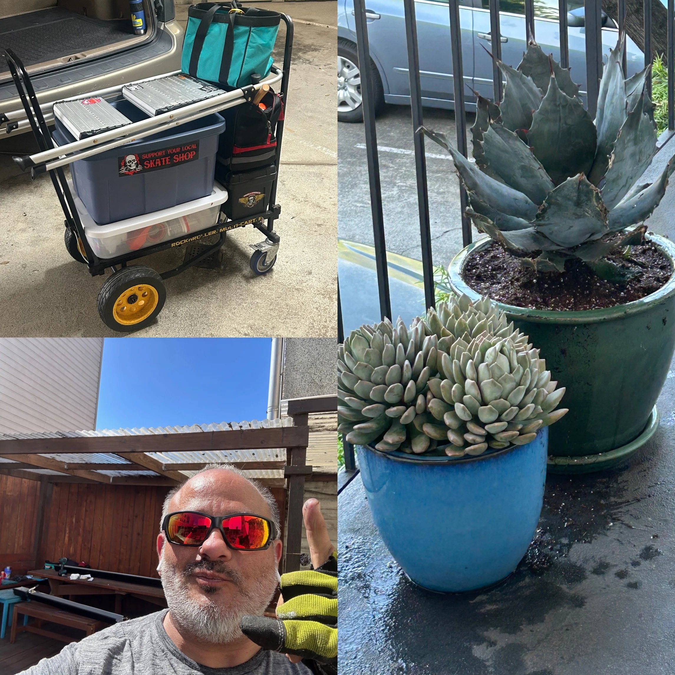 Collage of four photos: a luggage cart with boxes and equipment, two potted plants on a balcony, a man wearing sunglasses and gloves outdoors, and a close-up of the plants.