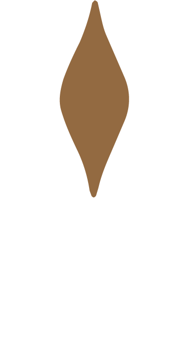A brown, elongated, diamond-shaped object with pointed ends, resembling a seed or a teardrop.