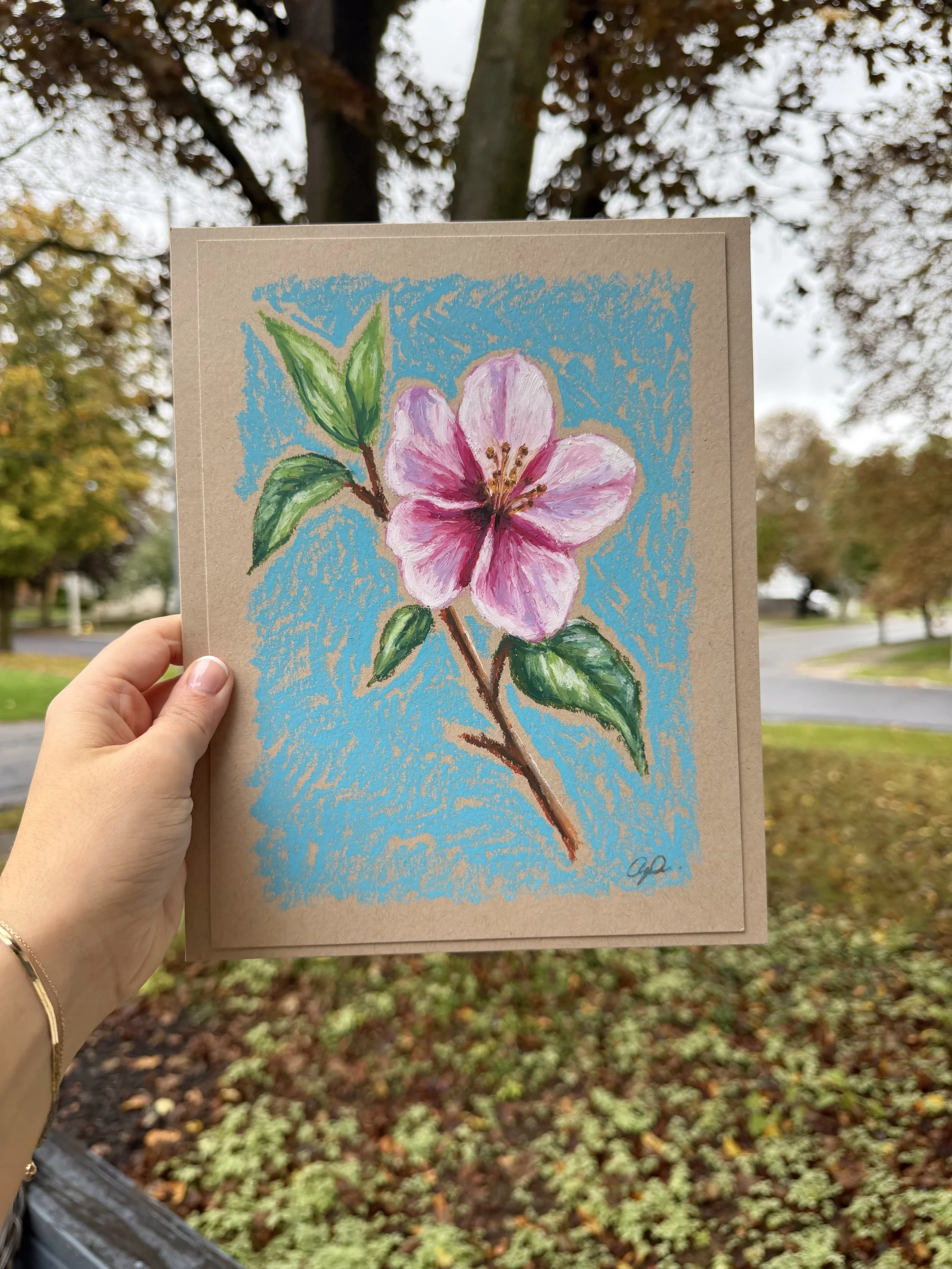 Cherry blossom 2.JPG