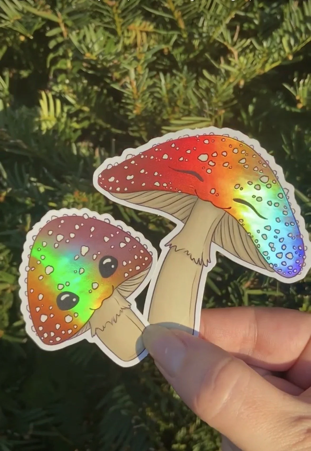 Assorted Weather-proof Stickers