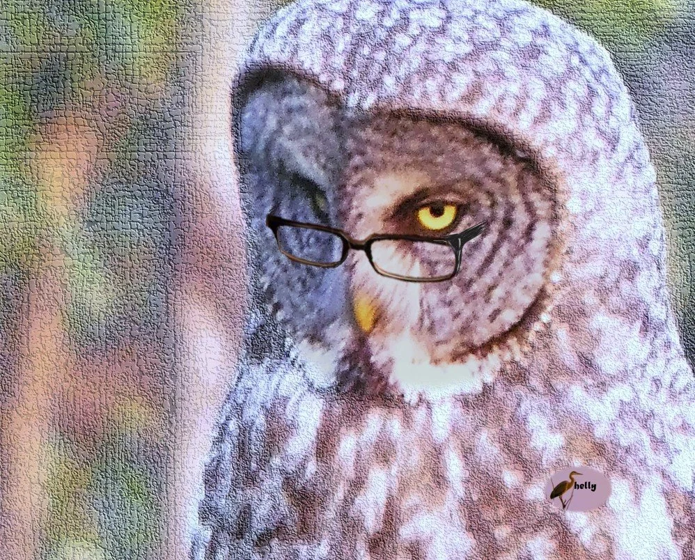 Borrowed Vision
