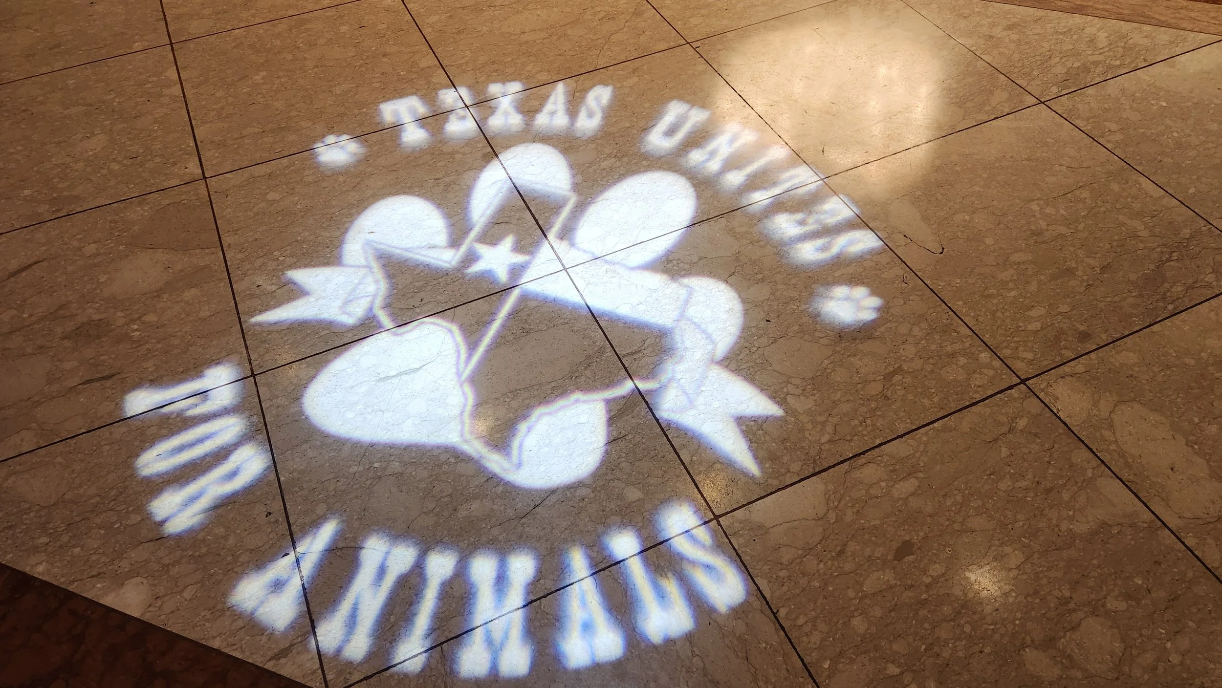 Projection of the Detroit Lions logo, featuring a lion's head and the words 'Detroit Lions', displayed on a tiled floor.