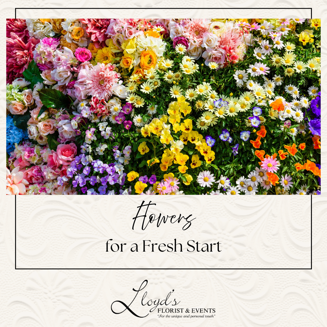 Flowers for a Fresh Start