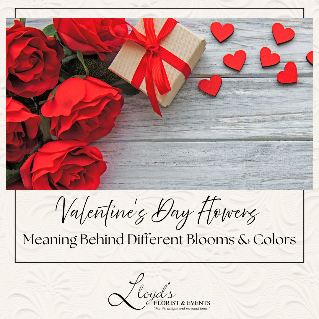 Valentine's Day Flowers: Meaning Behind Different Blooms &amp; Colors