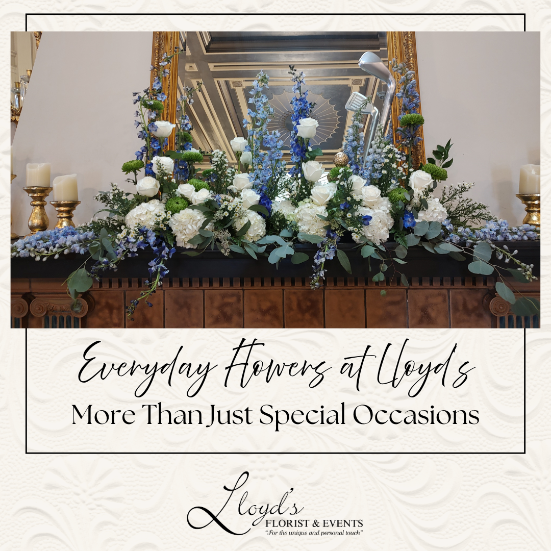 Everyday Flowers at Lloyd’s: More Than Just Special Occasions