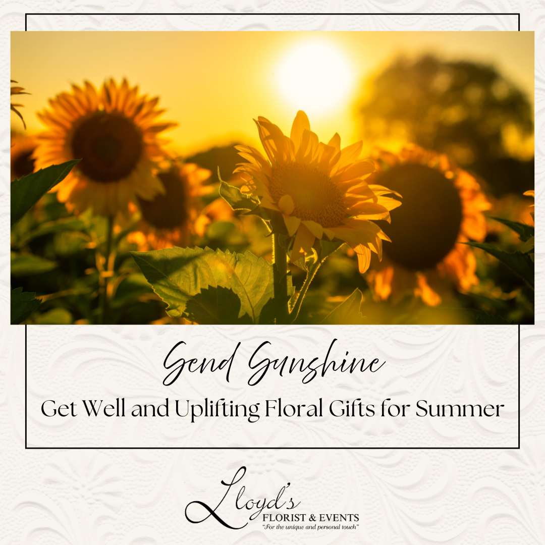 Send Sunshine: Get Well and Uplifting Floral Gifts for Summer