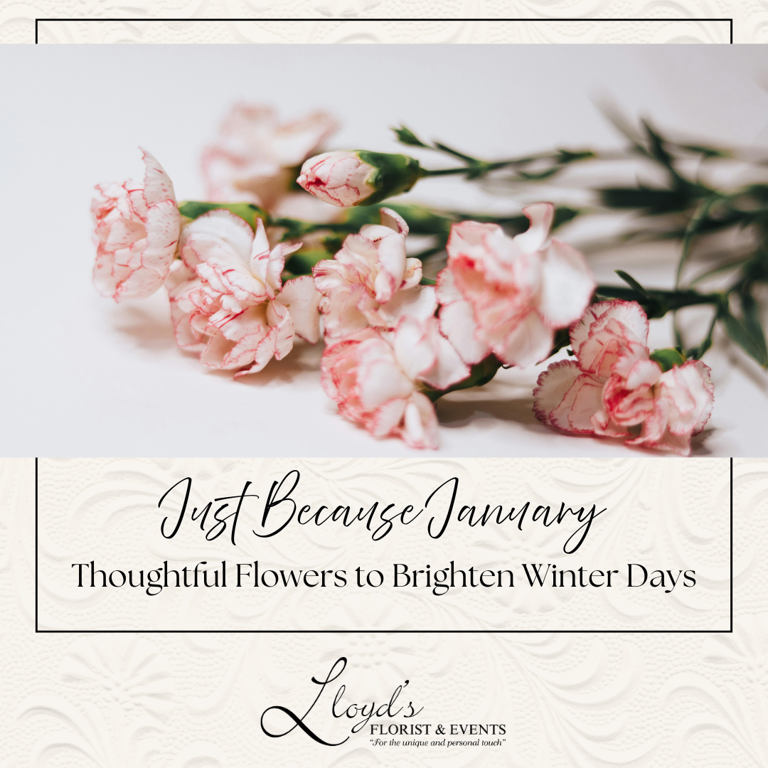 Just Because January: Thoughtful Flowers to Brighten Winter Days