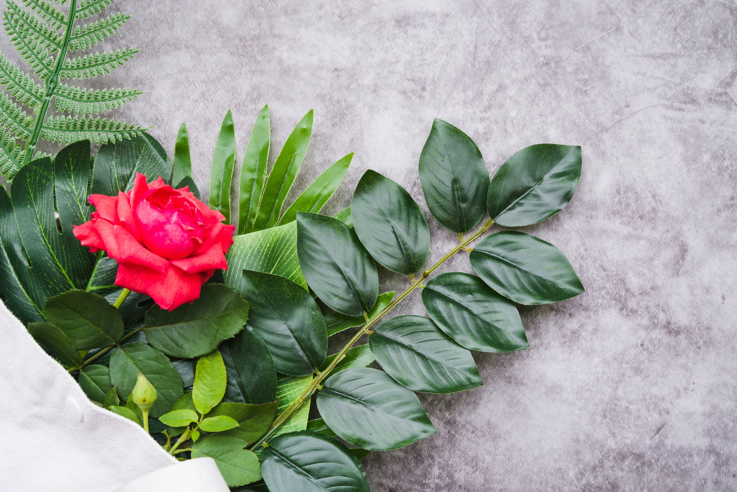A variety of green leaves and a pink flower on a gray background.
