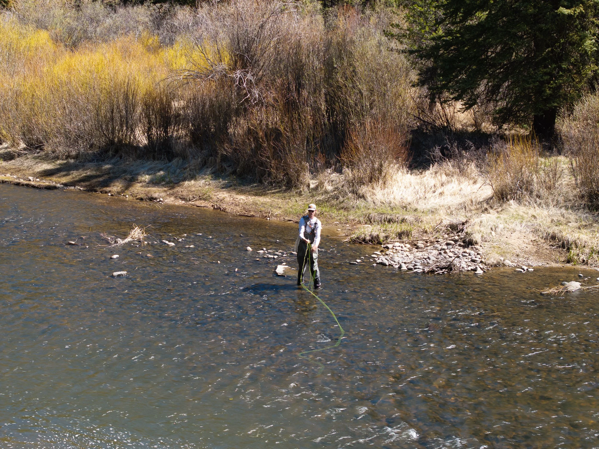 Person fly fishing in a river with a wooded shoreline in the background.
