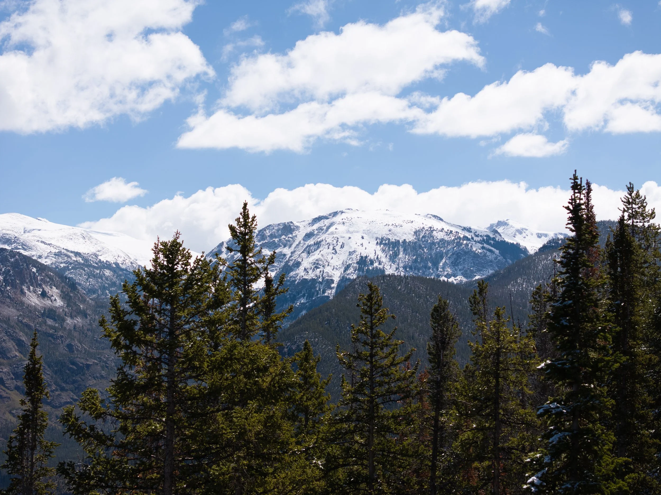 Snow-capped mountains under a blue sky with fluffy white clouds, surrounded by a forest of tall evergreen trees.