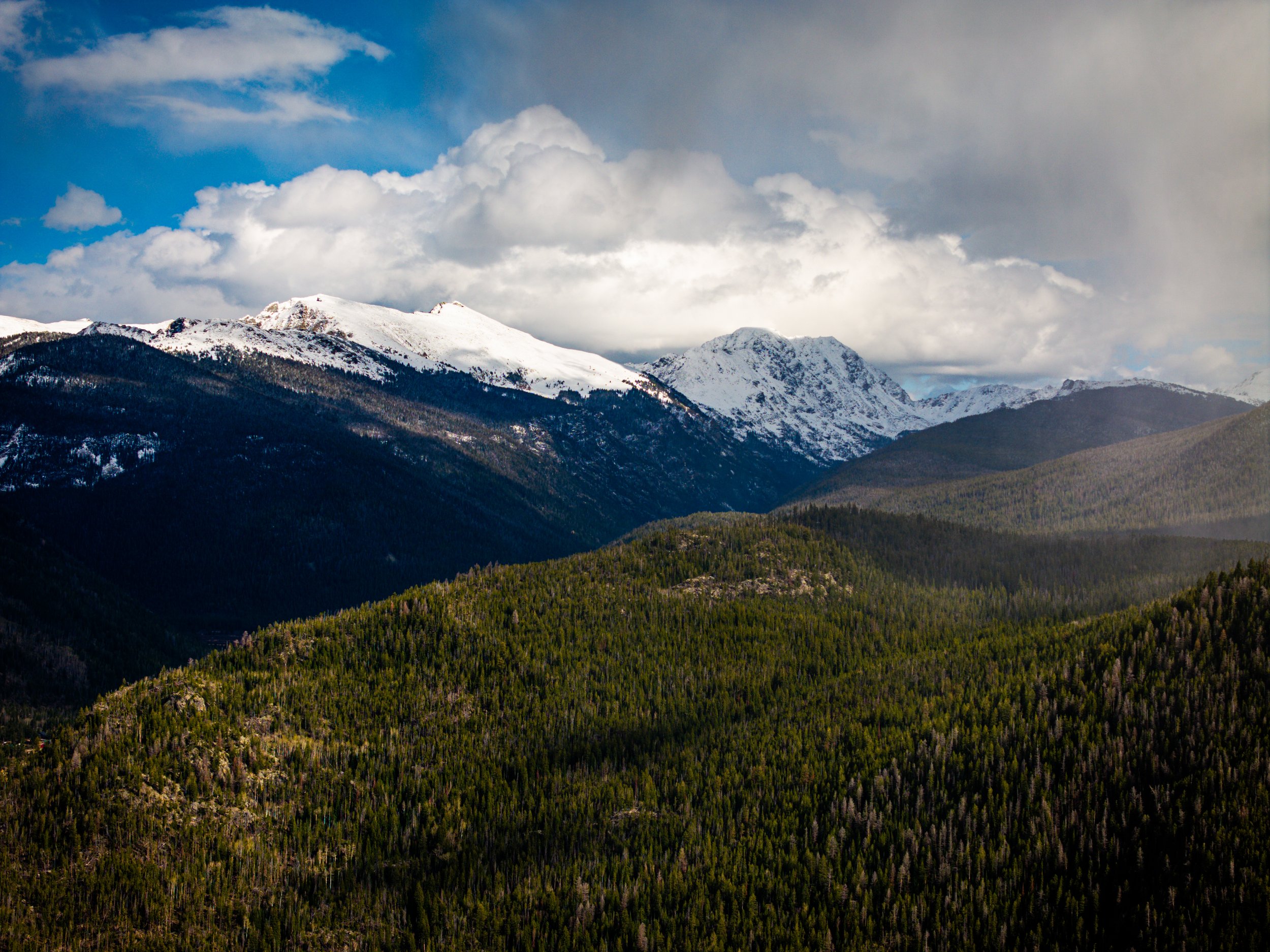 Snow-capped mountains under a partly cloudy sky with dense forest in the foreground.