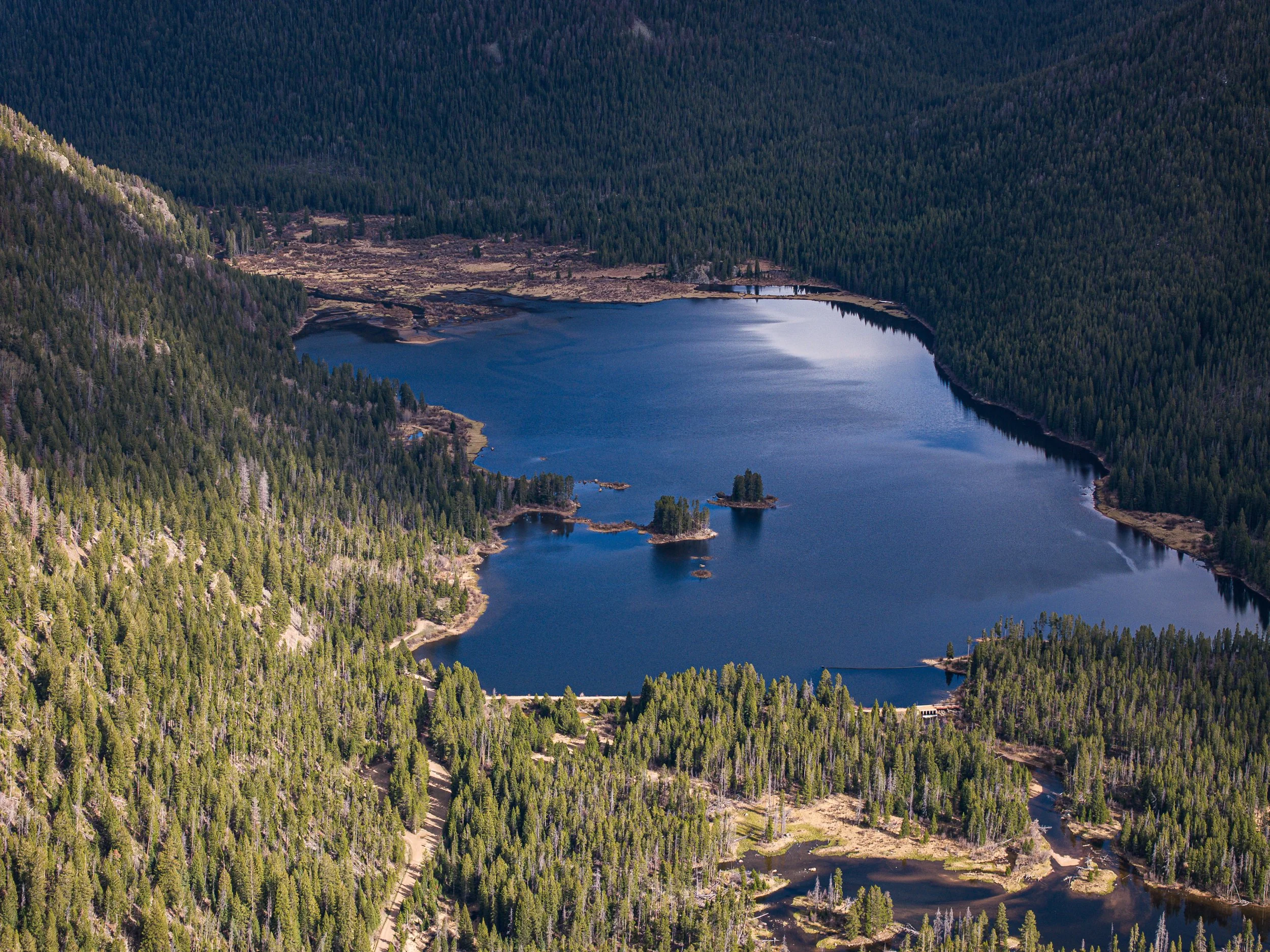 Aerial view of a large lake surrounded by dense evergreen forest and mountains.