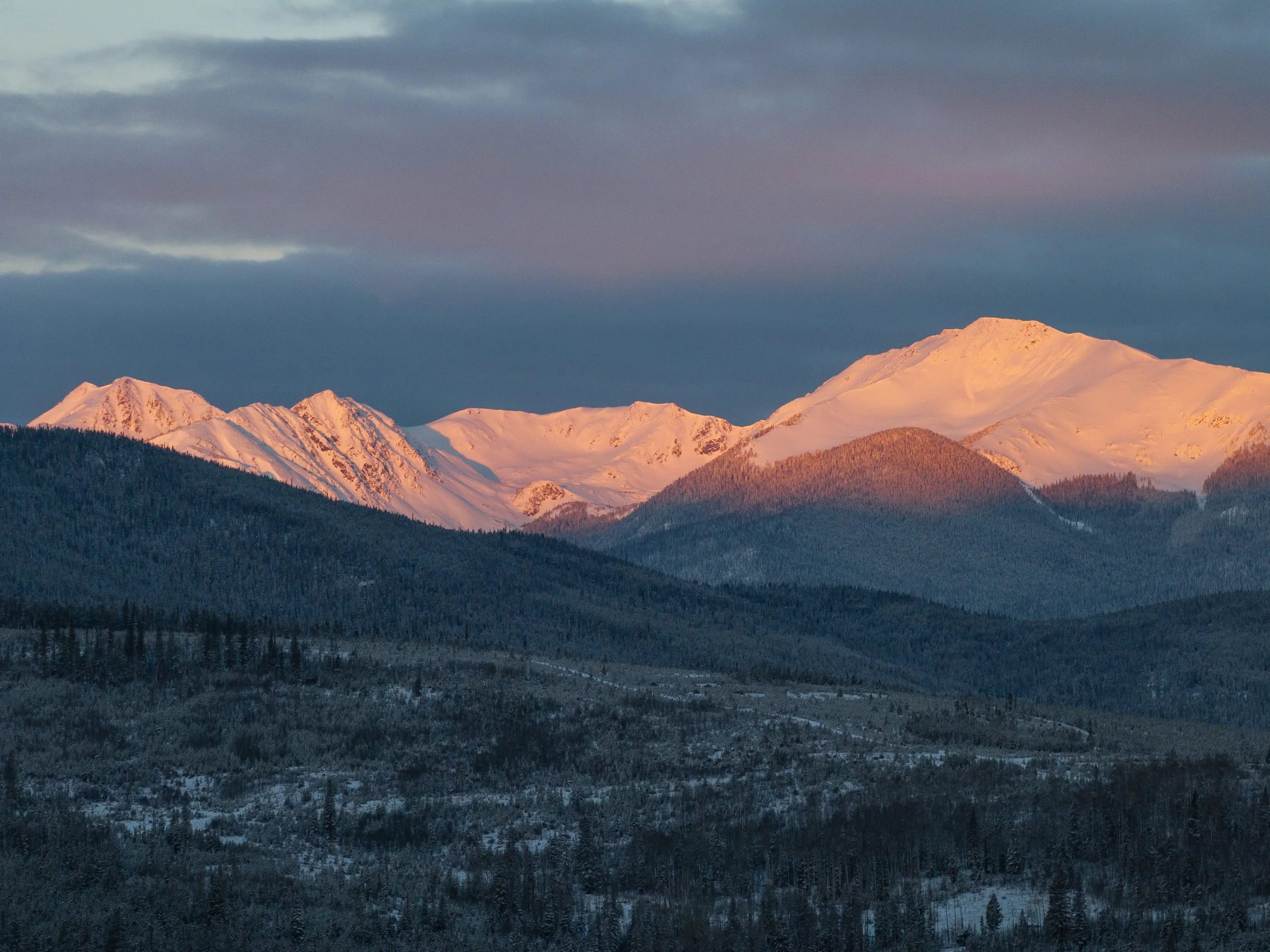 Snow-covered mountain range illuminated by golden sunlight with dark clouds overhead and a forested valley in the foreground.