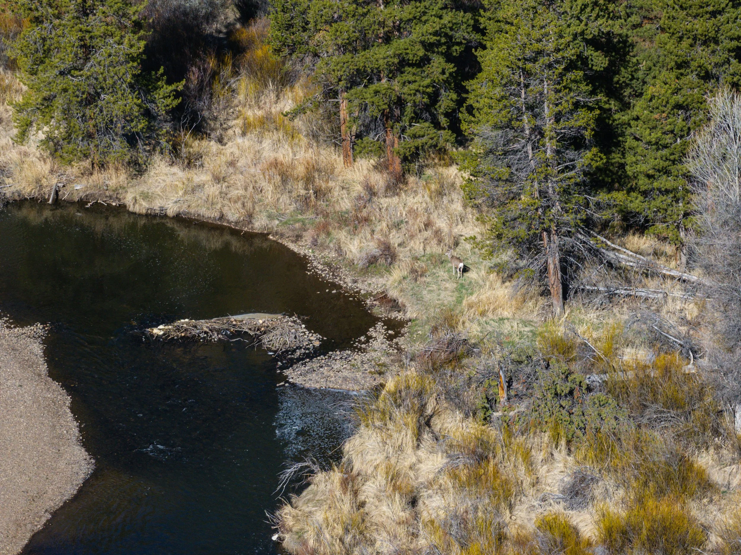 Grand County Fishing 8.jpg