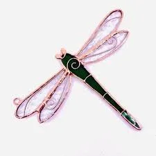 Daytime Class - Spring Insects
