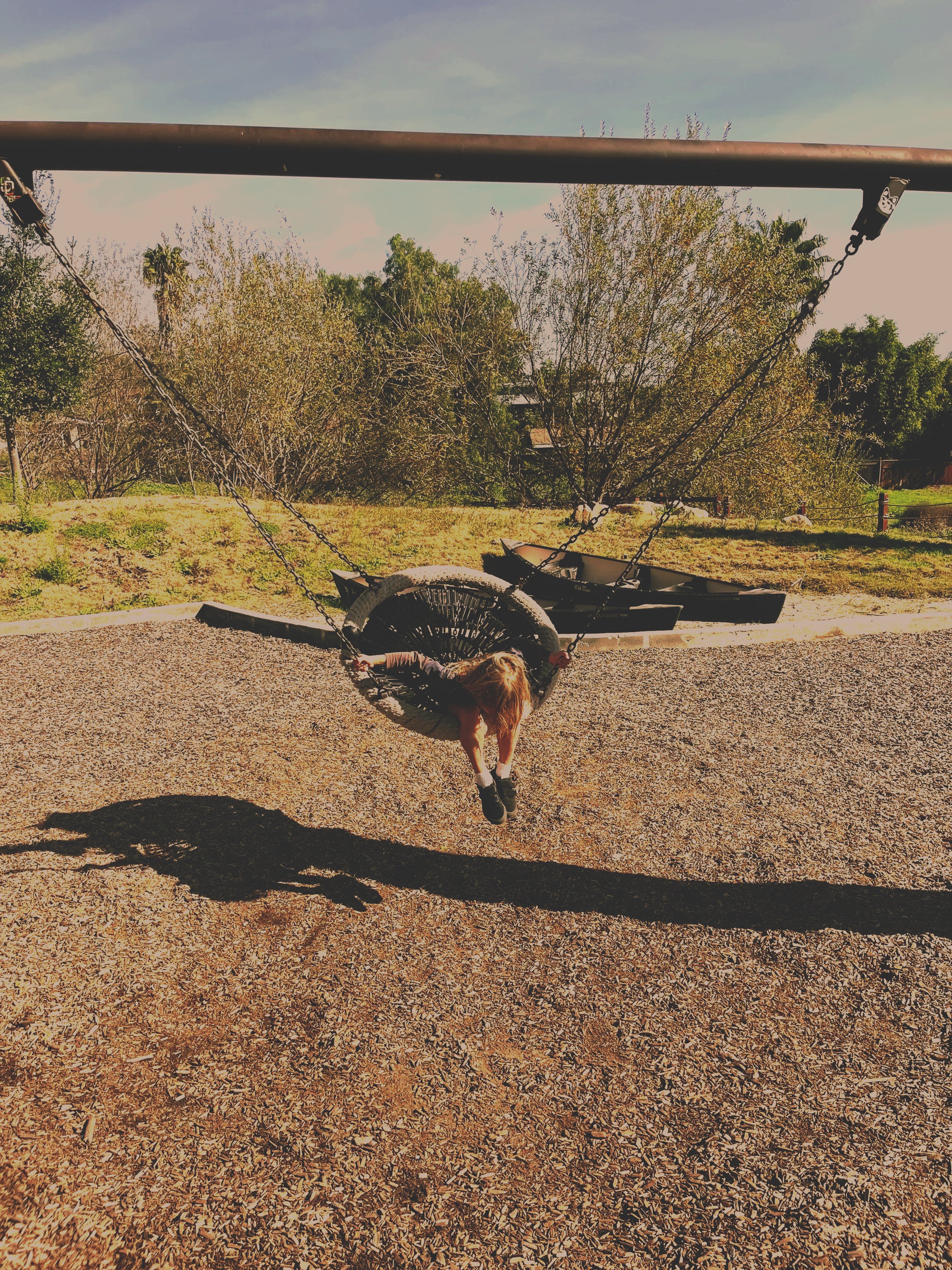 IMG_swing.jpg
