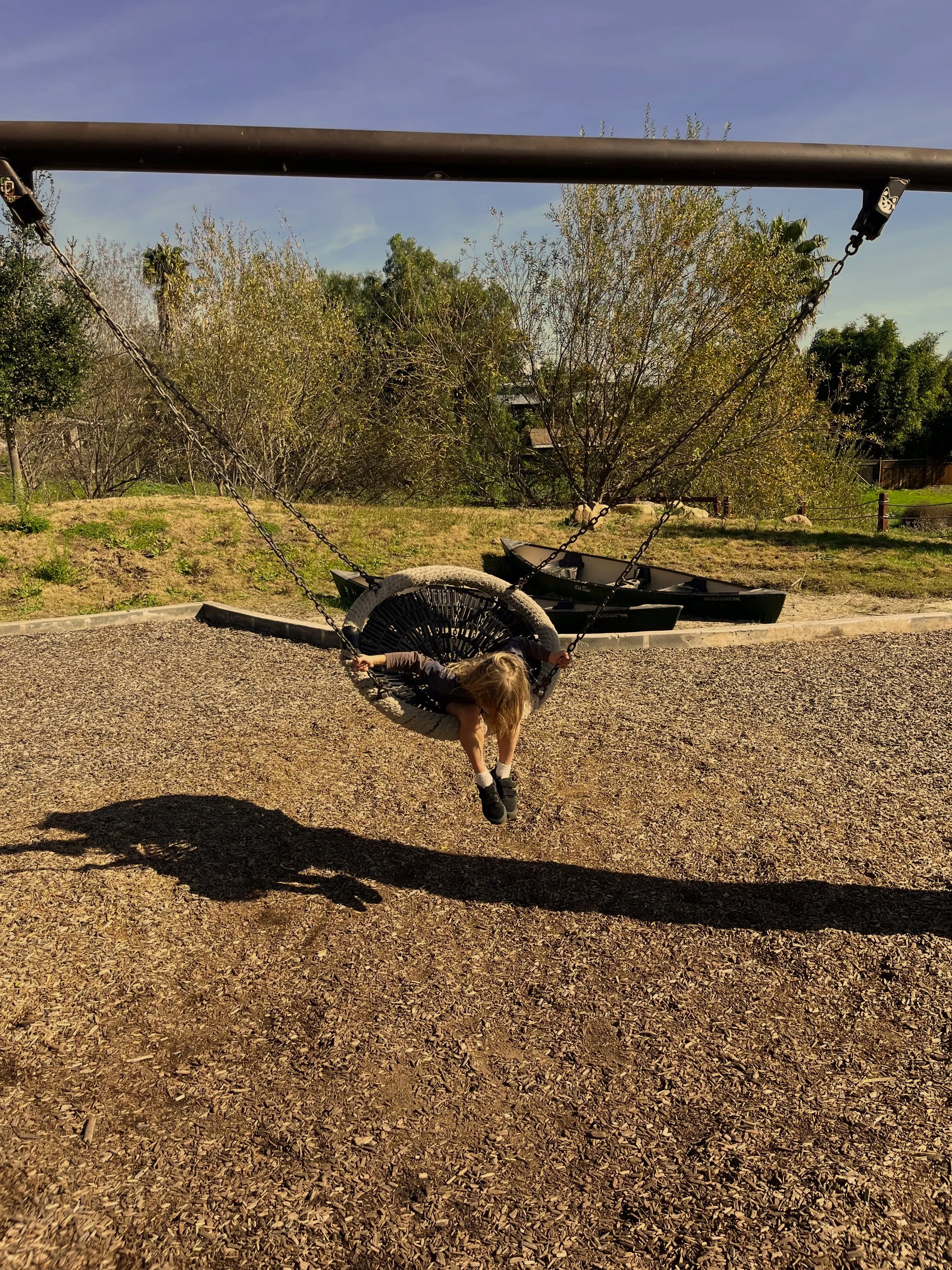 IMG_swing.jpg