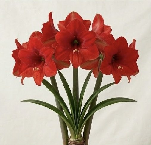 Image 15.jpeg