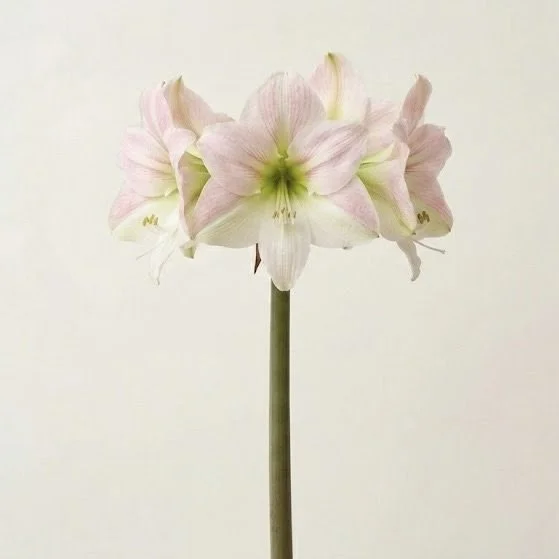 Image 17.jpeg