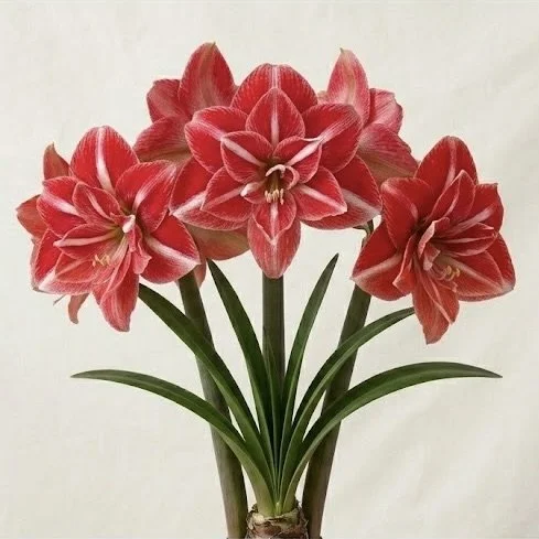 Image 14.jpeg