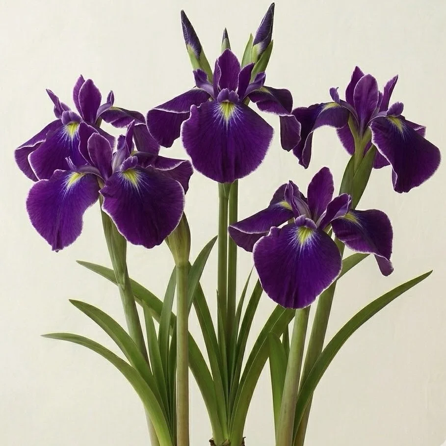 Image 25.jpeg