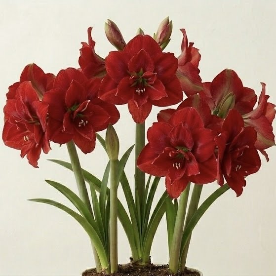 Image 22.jpeg