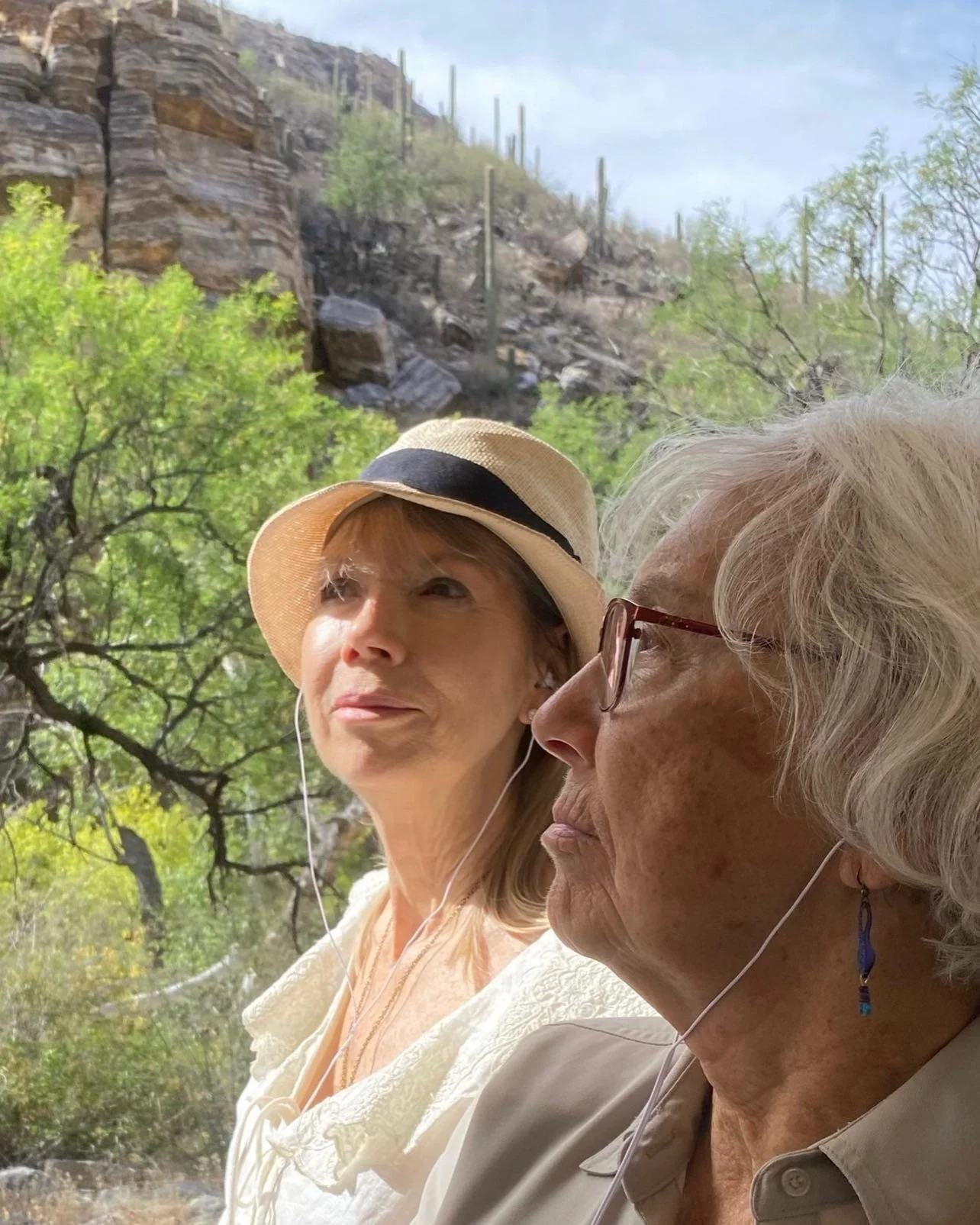 wonderful guided tour in the Beautiful Sabino Canyon. was quite content not to run into any rattlesnakes 😊

&mdash; at Sabino Canyon National Park.