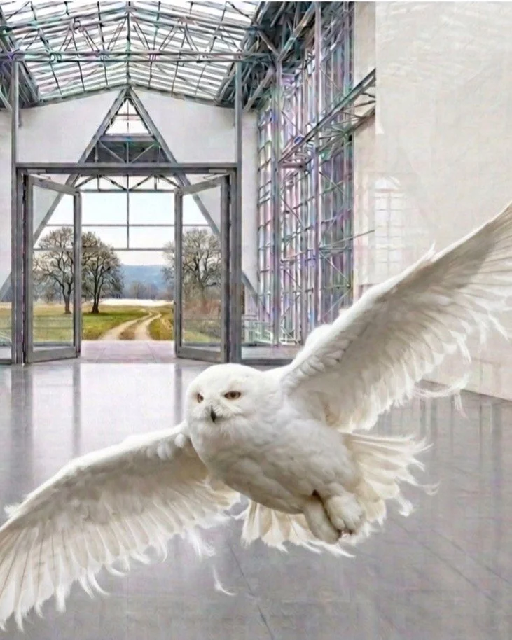 I had an extremely meaningful dream last night about a white fluffy snow owl and I'm not a fan of AI but I do have to say this was fun to do when all the free websites turned out not to be free of the photos that I found that even slightly resembled 