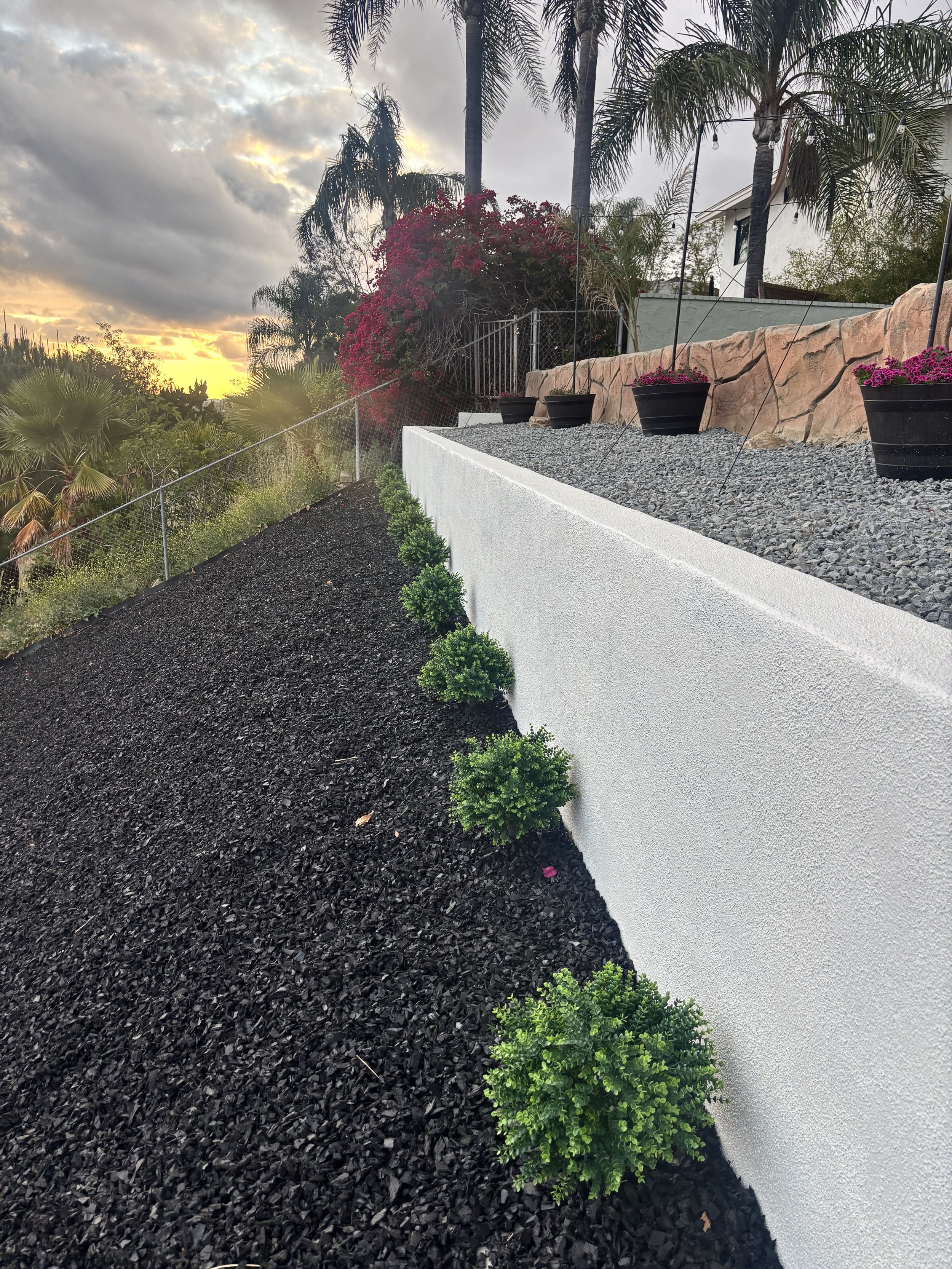 A landscaped garden with small green bushes along a black mulch bed, white retaining wall, potted flowers on a gravel surface, palm trees, and a sunset sky.