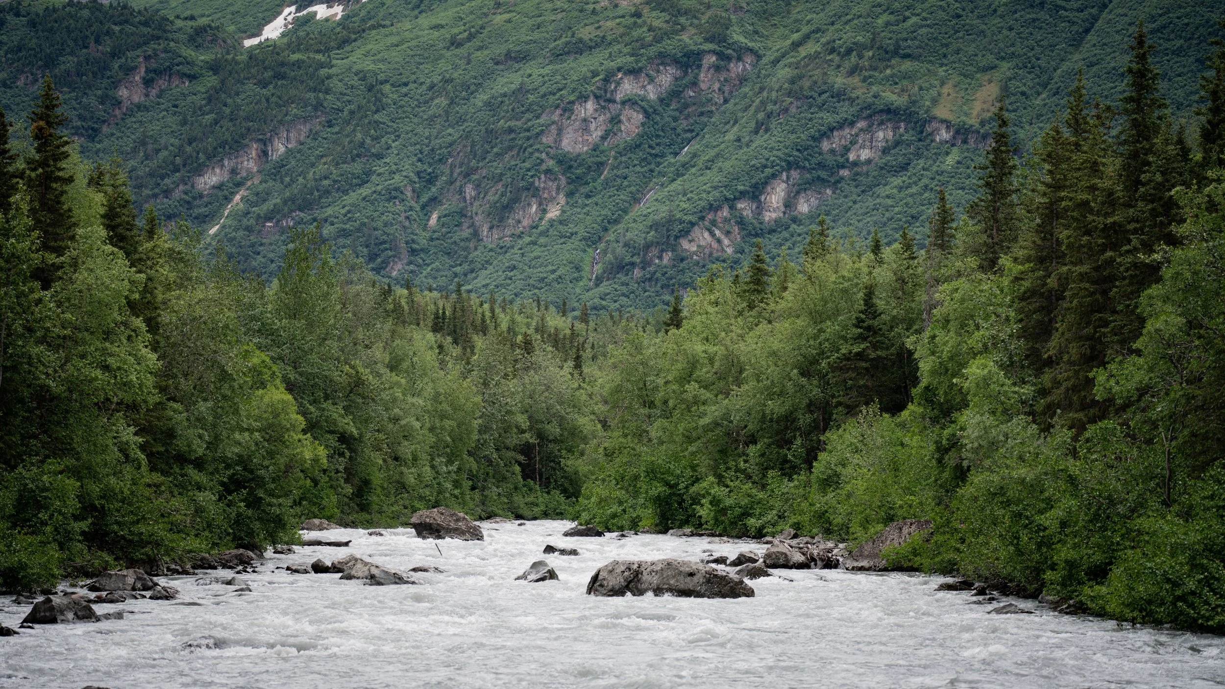 _DSC9582.jpg