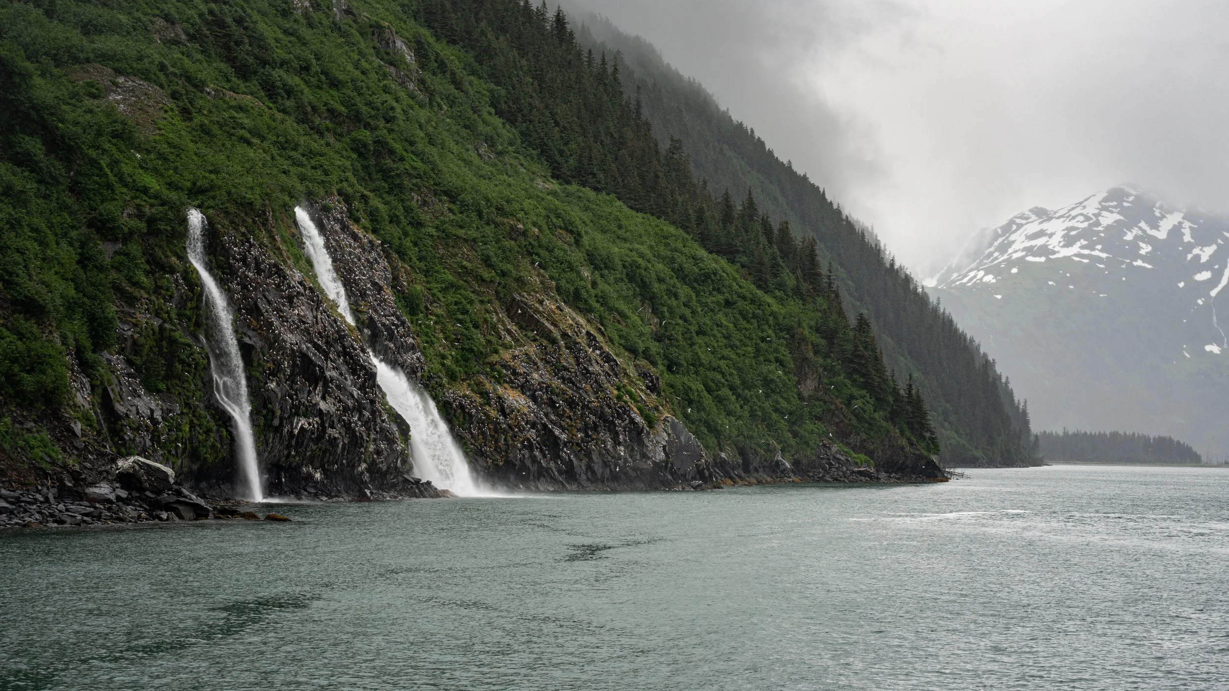 _DSC0157.jpg