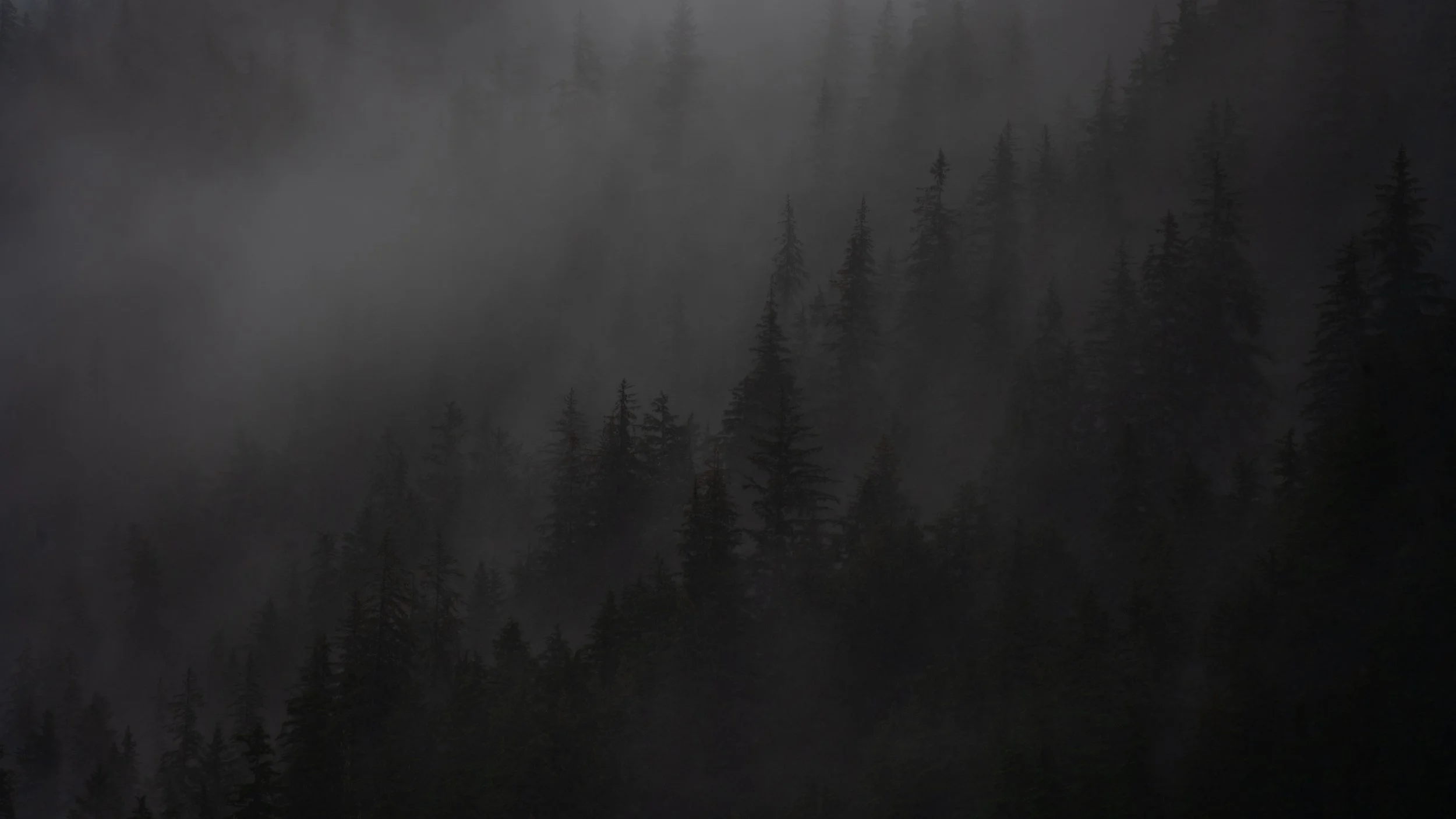 _DSC9875.jpg