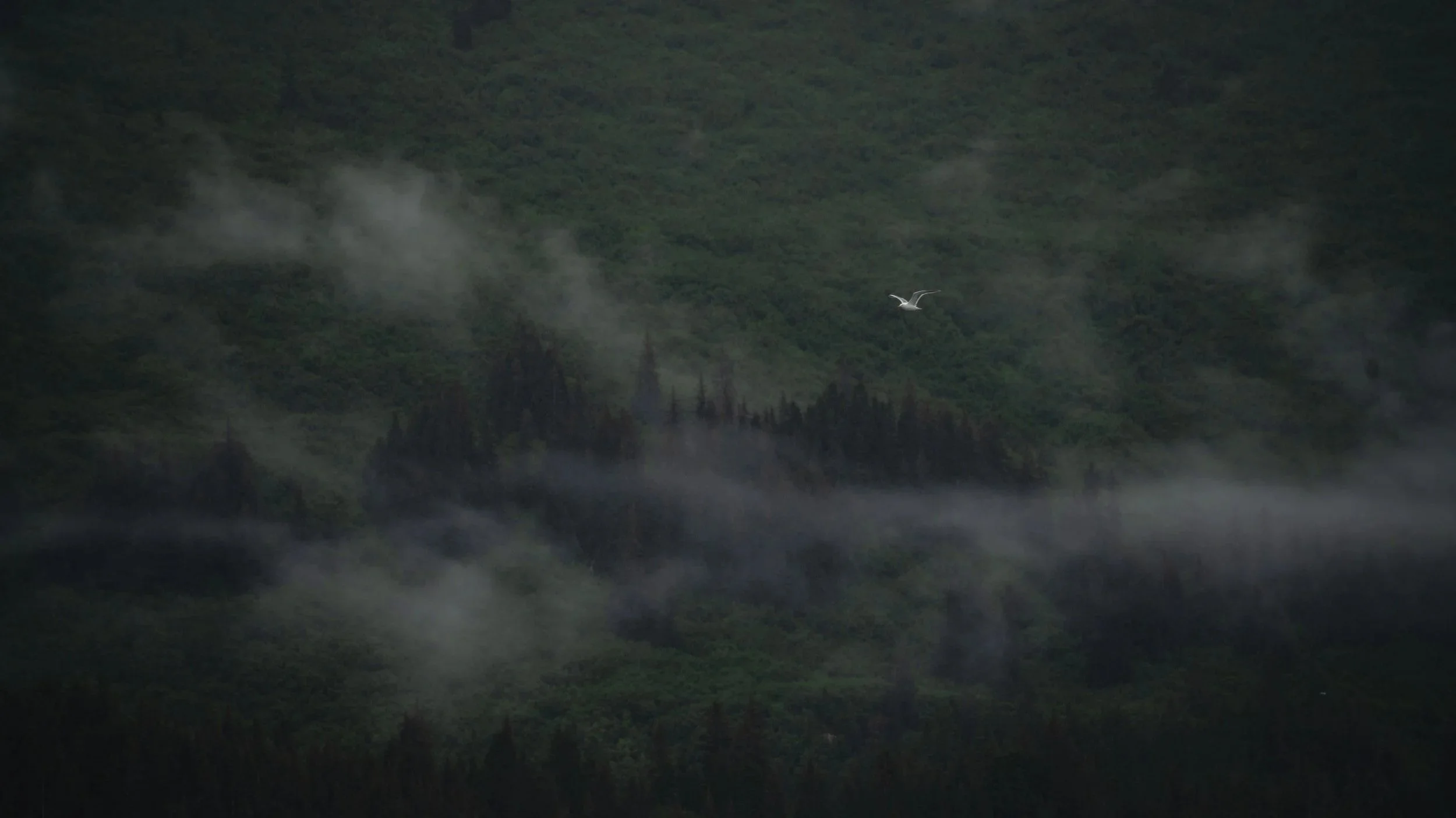 _DSC9763.jpg