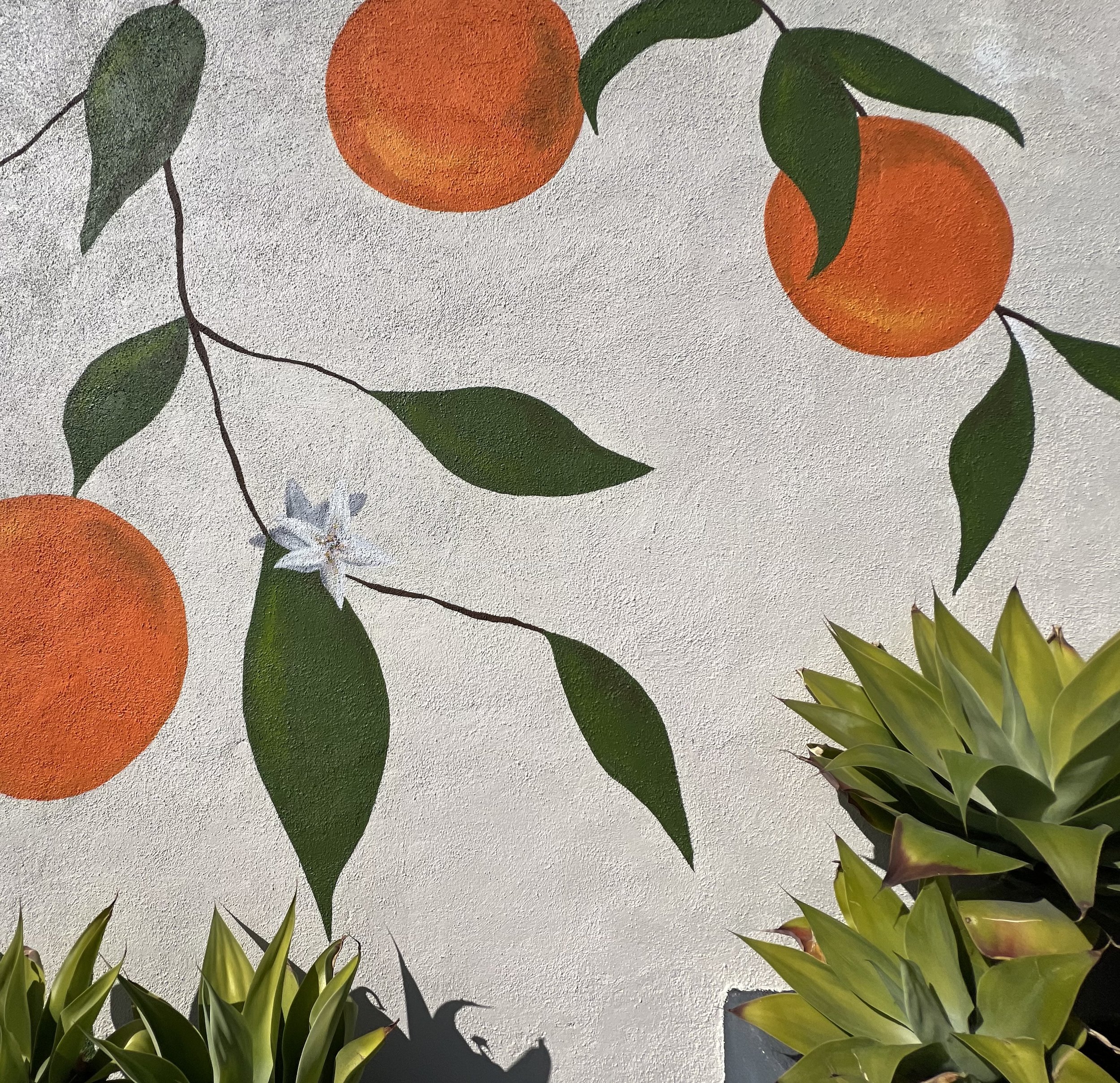 Painted mural of orange fruits with green leaves on a white stucco wall, with real potted plants in the foreground.