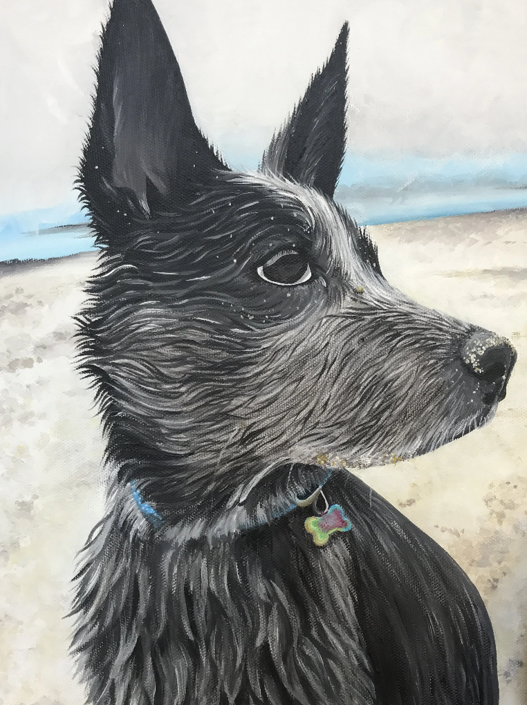 Pet Portrait Commissions