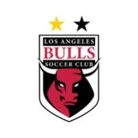 LA Bulls Soccer Club Partners with Cogeo to Enhance Corporate Sponsorship and Community Impact