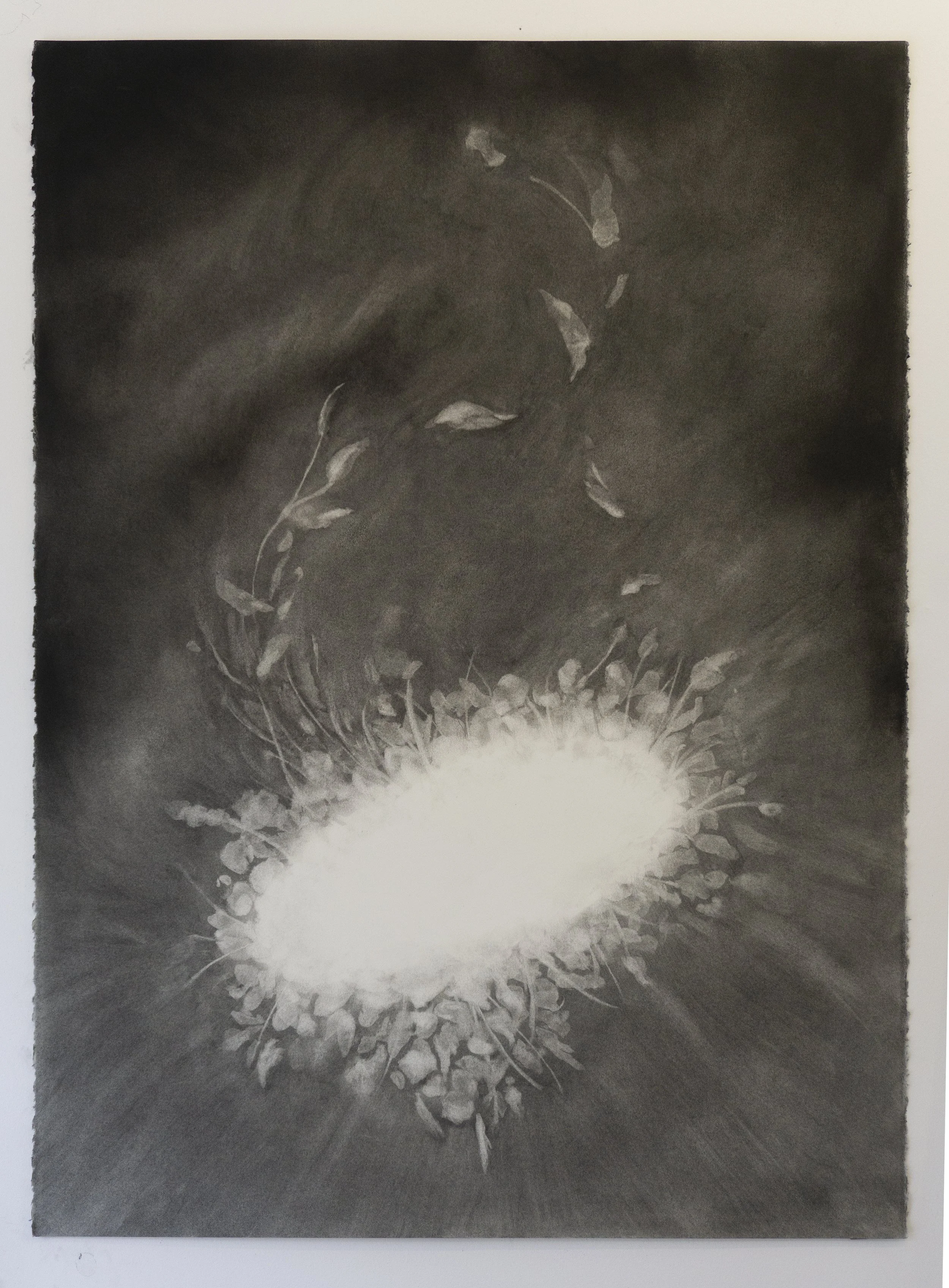  Burning Bush after Dürer  
2020 
charcoal on paper 
30 x 22 inches