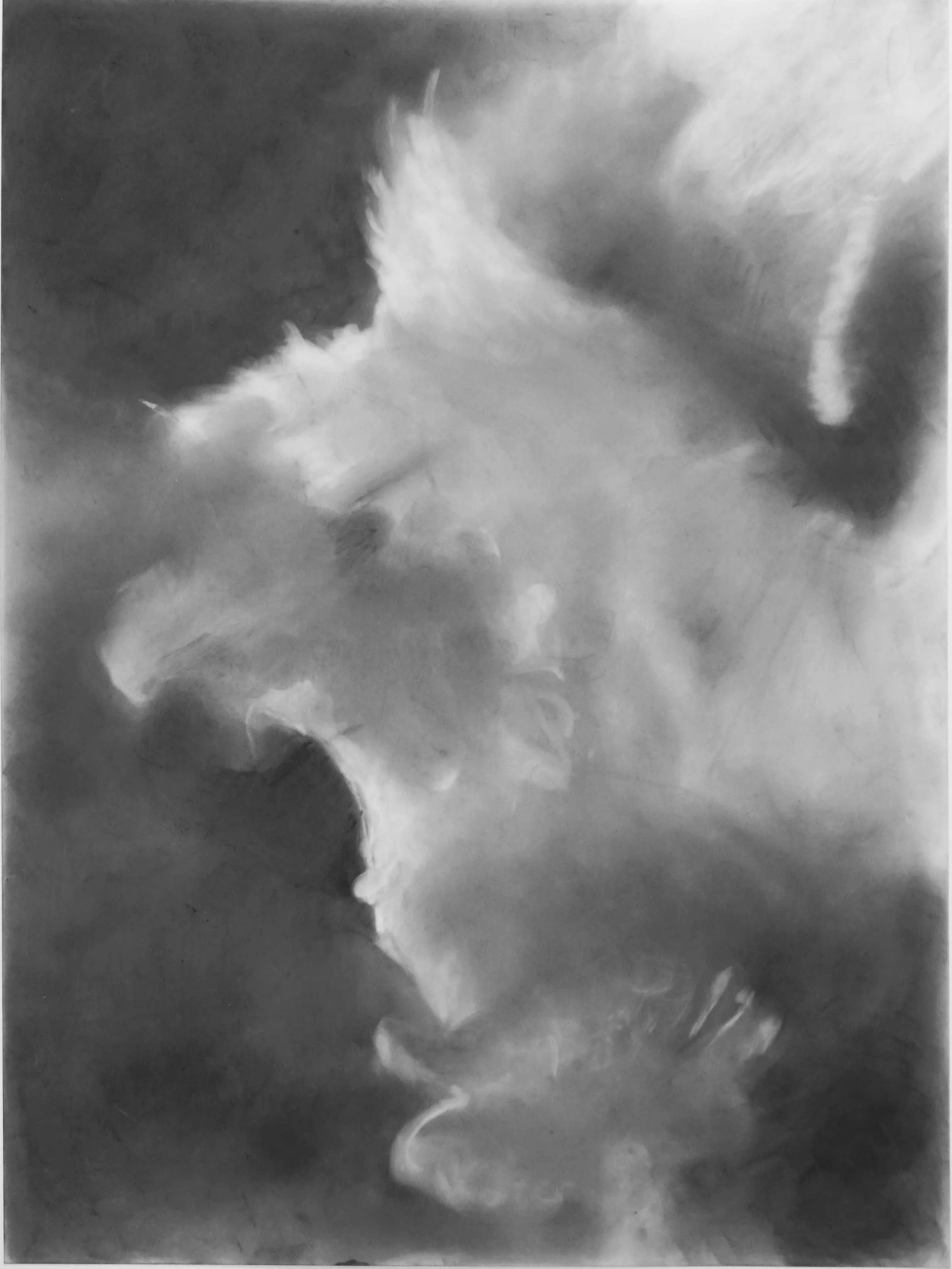  Skyscape2  
2019 
charcoal on Duralar 
12 x 9 inches