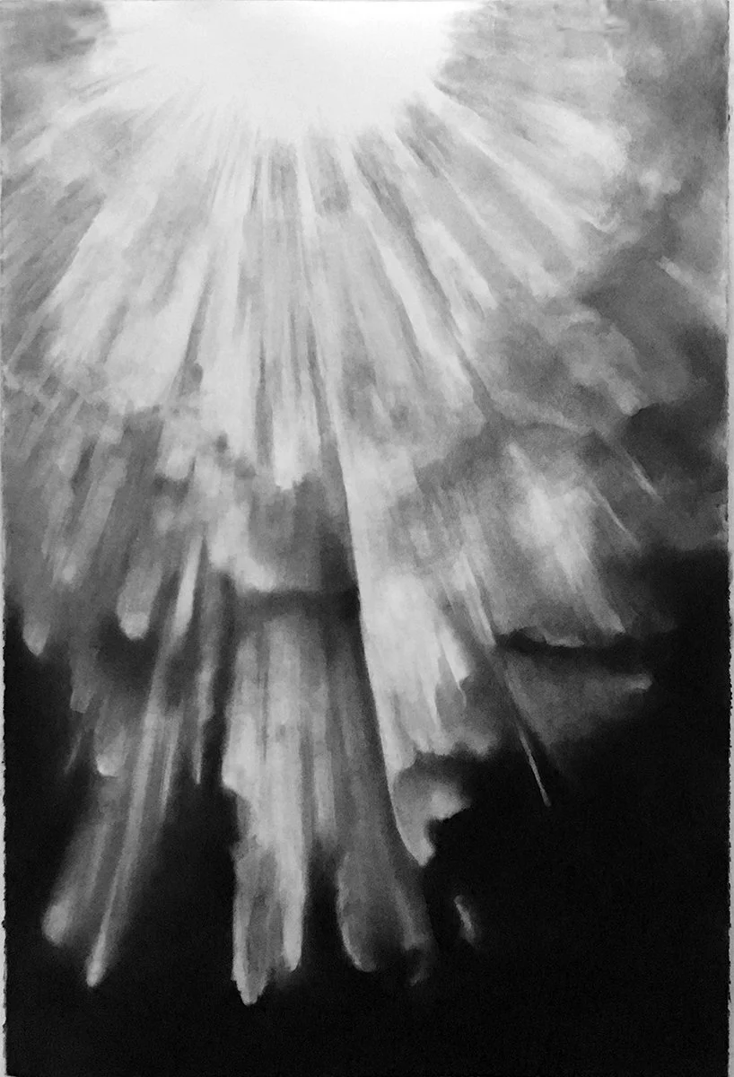  The Lightness of Unbearable Being  
2019 
charcoal on paper 
44 x 30 inches