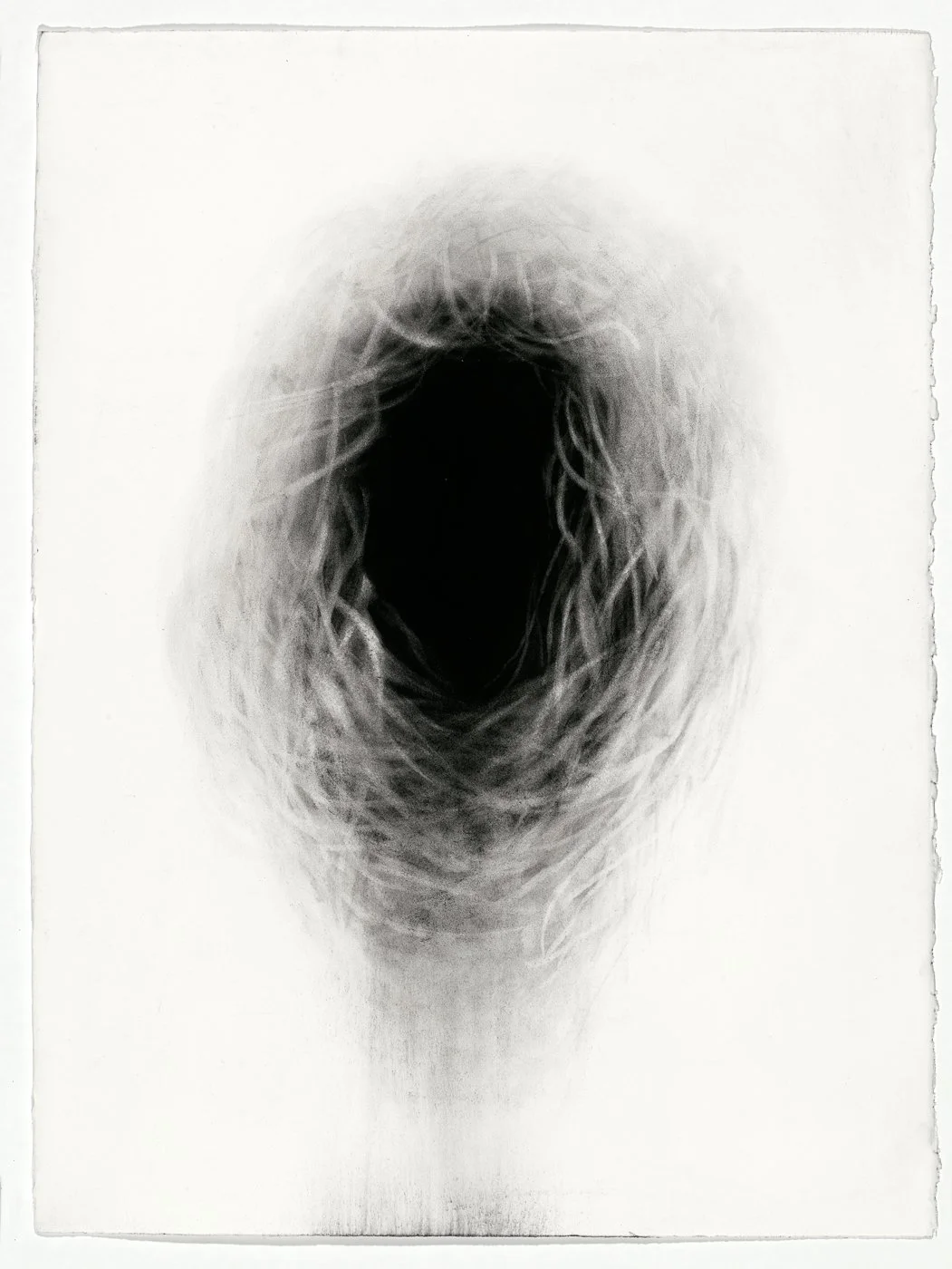  Ace of Cups  
2016 
charcoal on paper 
30 x 22 inches