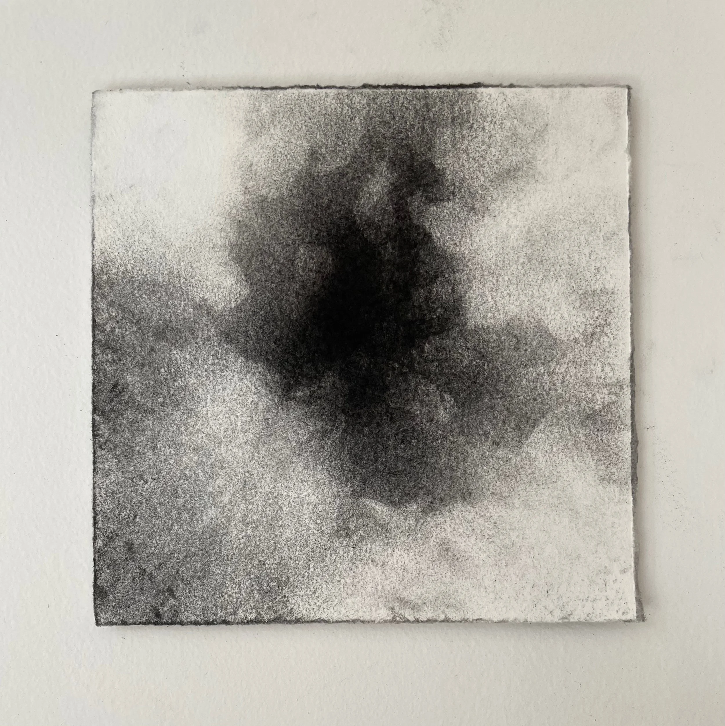  Virtual Garden Day 12  
2021 
charcoal on paper 
5" X 5"