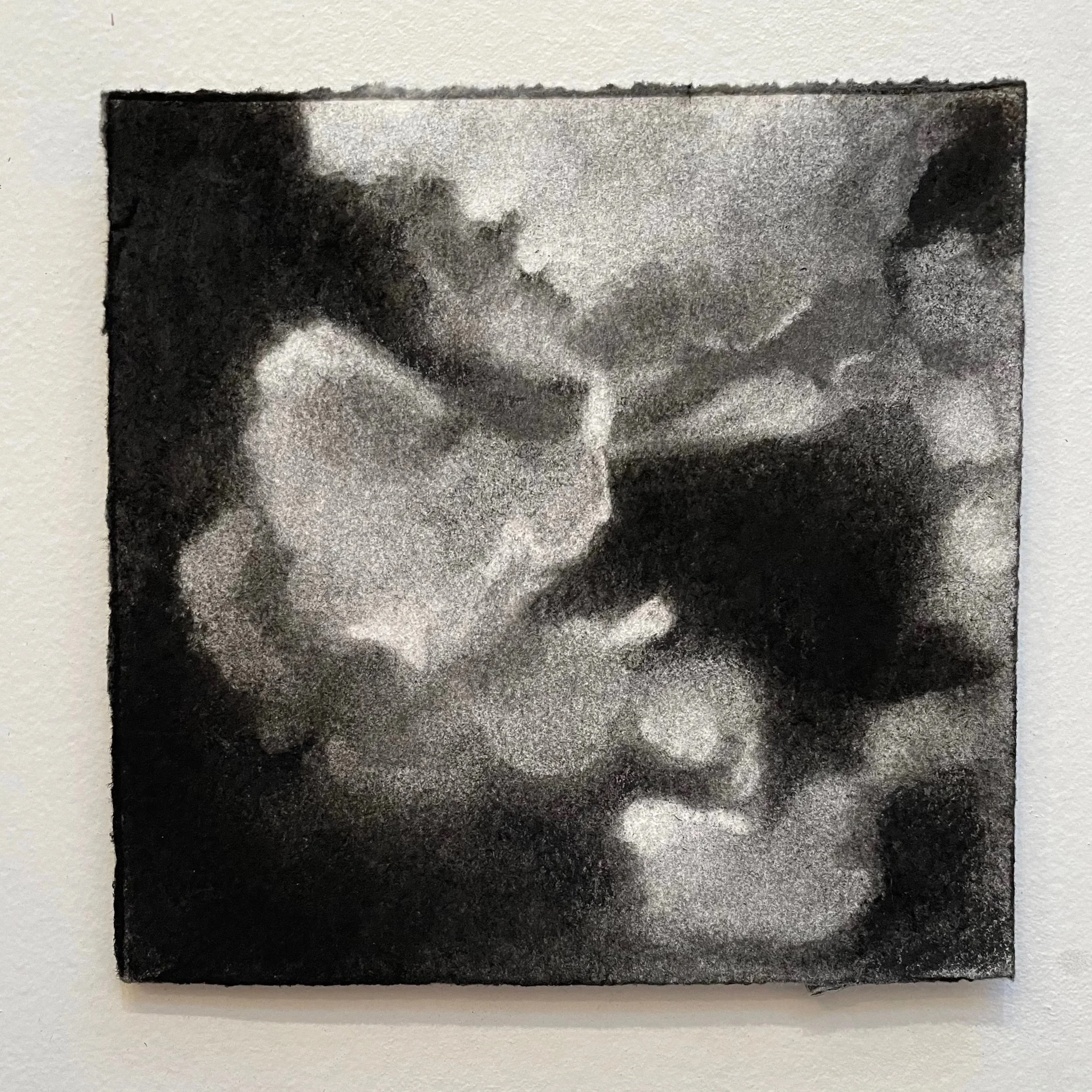  Virtual Garden Day 4  
2021 
charcoal on paper 
5" X 5" (10" X 10" framed)