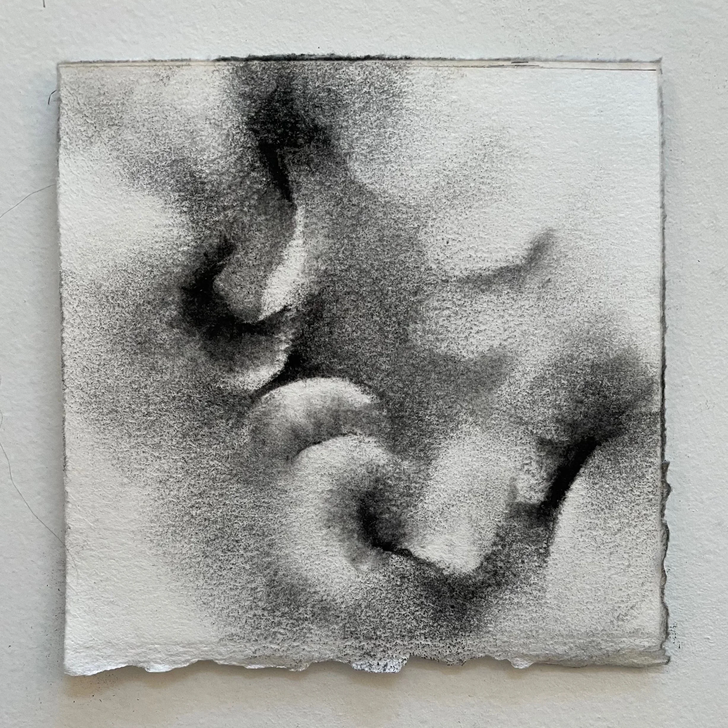  Virtual Garden Day 6  
2021 
charcoal on paper 
5" X 5" (10" X 10" framed)