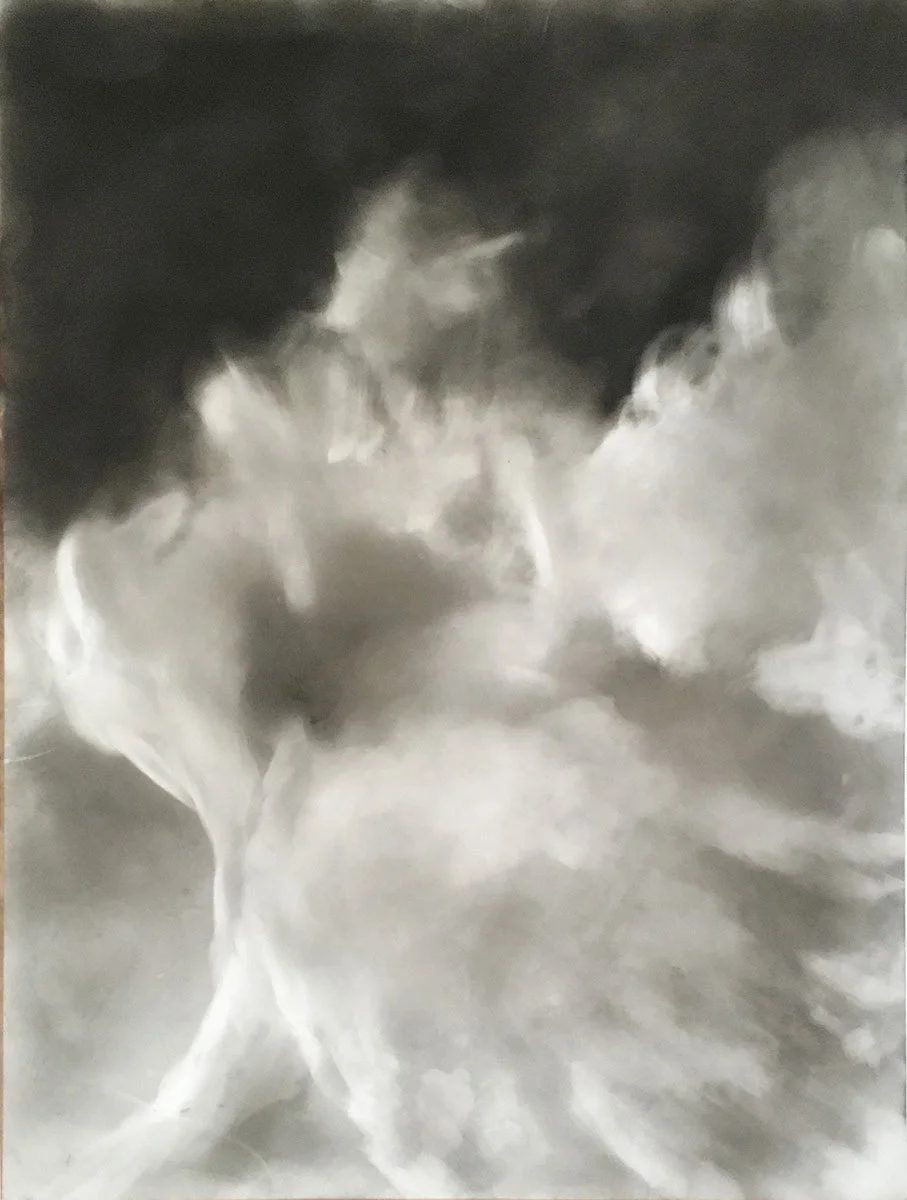  Wings fo Desire 2  
2019 
charcoal on Duralar 
12 x 9 inches