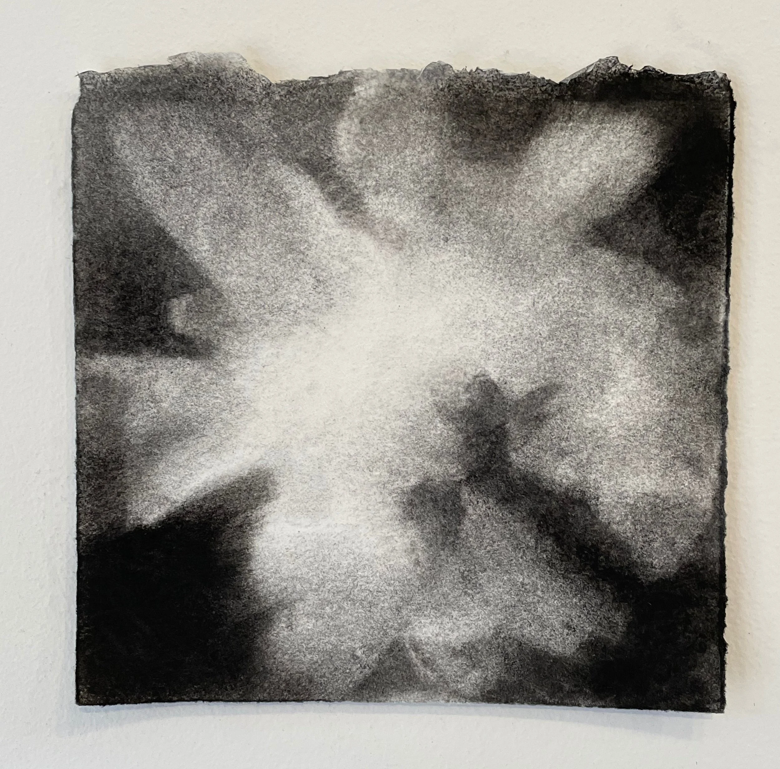  Virtual Garden Day 1  
2021 
charcoal on paper 
5" X 5" (10" X 10" framed)