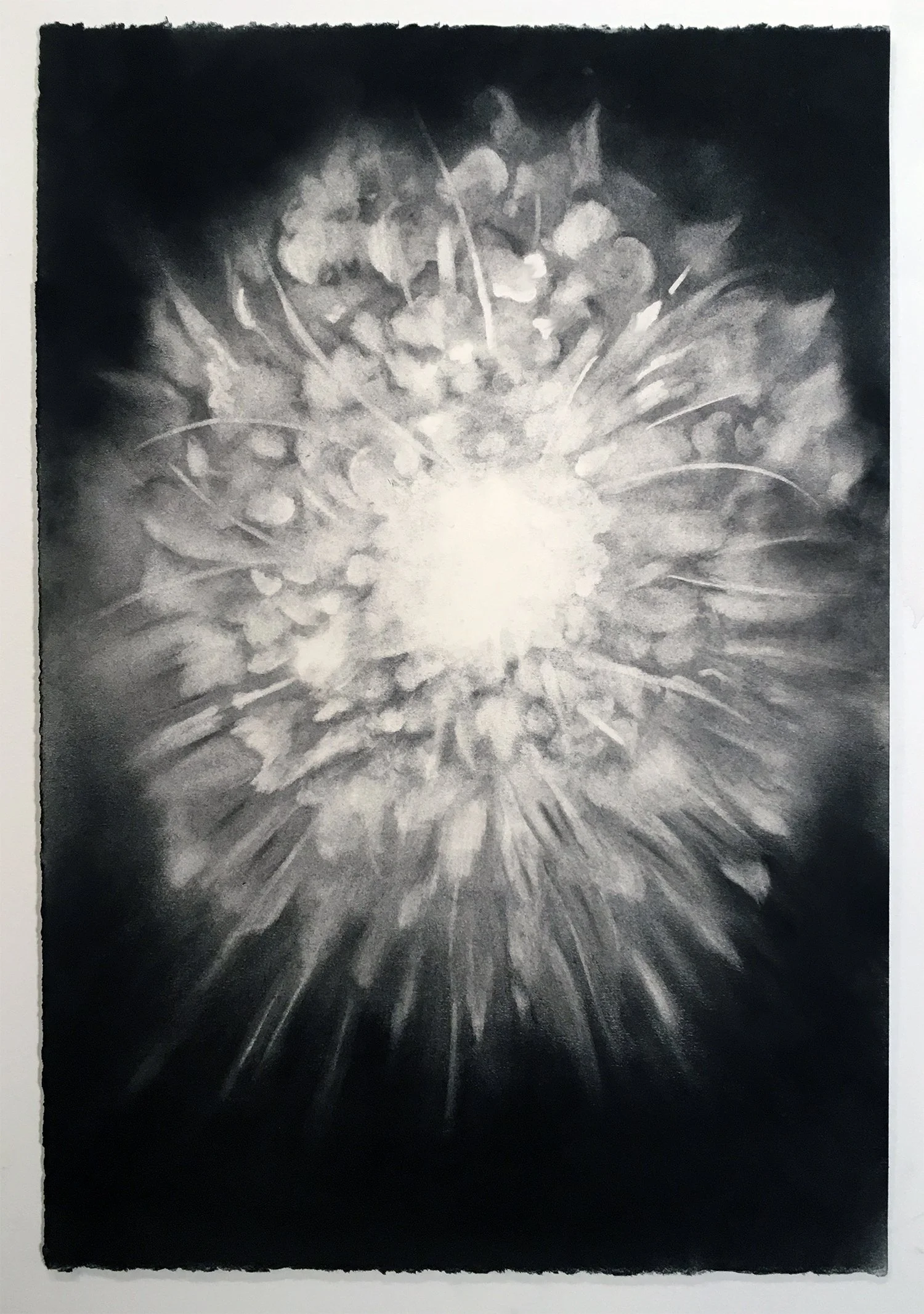  She is Benediction  
2020 
charcoal on paper  
22 x 15 inches