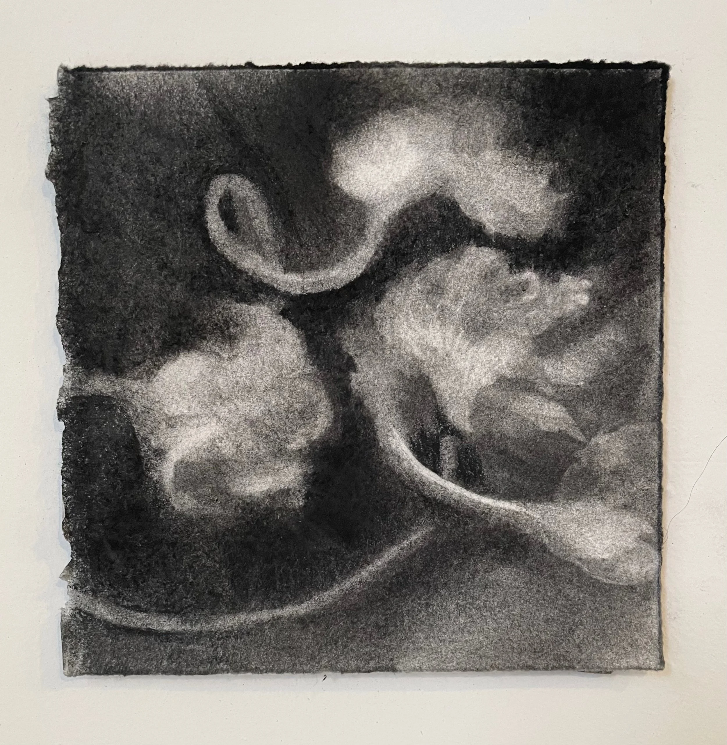  Virtual Garden Day 10  
2021 
charcoal on paper 
5" X 5" (10" X 10" framed) 