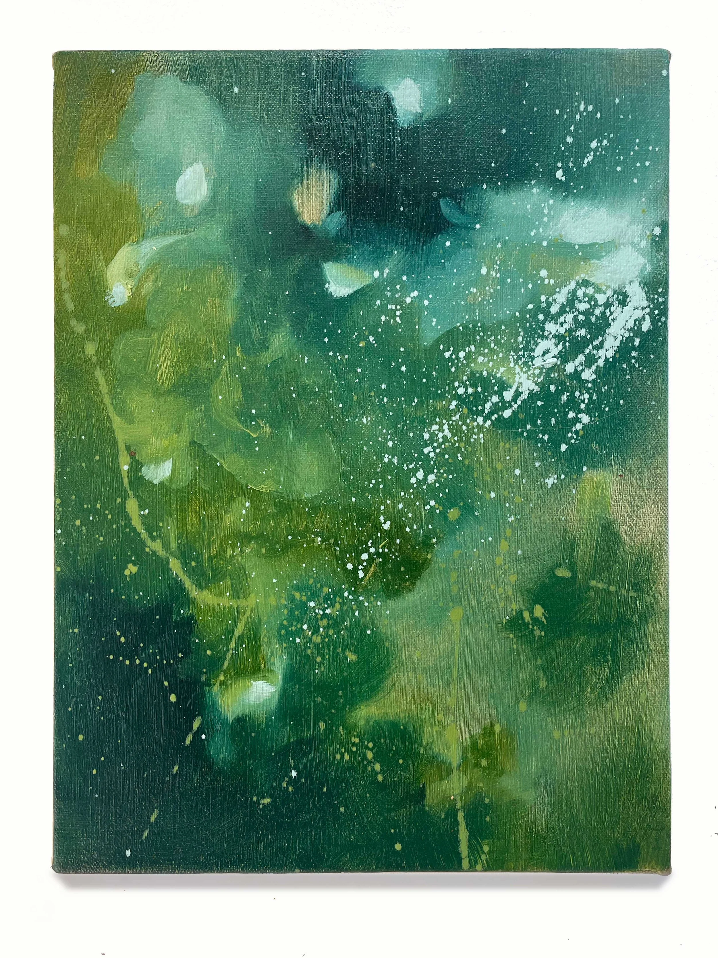  Seeing Through the Chaos   2026 
oil on canvas 
12 x 9 inches